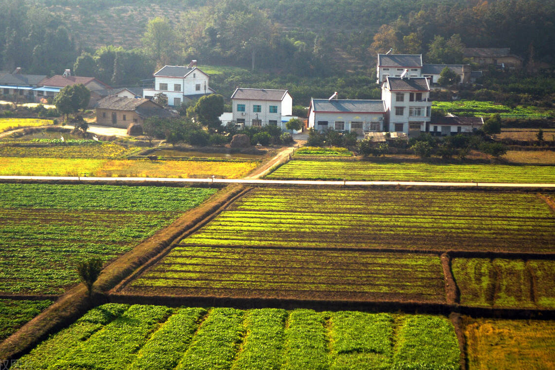 宅基地糾紛怎么解決.png 宅基地糾紛怎么解決.png